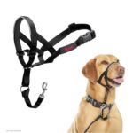 The Company Of Animals Company Of Animals Halti Headcollar Zwart - Nr 3