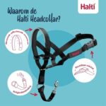 The Company Of Animals Company Of Animals Halti Headcollar Zwart - Nr 3