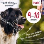 The Company Of Animals Company Of Animals Halti Headcollar Zwart - Nr 3