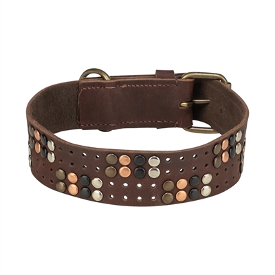 Trixie Halsband Hond Rivet Rustic Vetleer Donkerbruin - S-M 34-40 x 3 cm