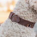Trixie Halsband Hond Rivet Rustic Vetleer Donkerbruin - L 47-54 Cmx4 Cm