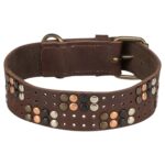 Trixie Halsband Hond Rivet Rustic Vetleer Donkerbruin - Xl 55-65 Cmx4 Cm