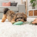 Trixie Dierenpoot Met Touw Groen - 22 cm