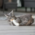 Trixie Sleepy Face Met Catnip Pluche Assorti - 17 cm