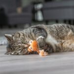 Trixie Draak Met Catnip Pluche Assorti - 20 cm