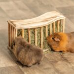 Trixie Hooiruif Met Deksel Hout Gevlamd - 37 x 13 x 19 cm