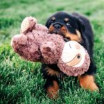 Multipet Wrinkleez Assorti - 23 cm