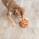 Trixie Denta Fun Pretzels Eend - 15 cm