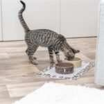 Trixie Voerbak / Drinkbak Leo Kat Keramiek Panterprint Assorti - 300 ml 12 cm