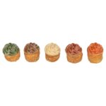 Trixie Cupcake Met Kippenborst - 25 g 70 stuks