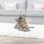 Trixie Kattenhengel Hart Hout / Katoen Met Kattenkruid / Catnip - 50 cm