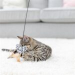 Trixie Kattenhengel Hart Hout / Katoen Met Kattenkruid / Catnip - 50 cm