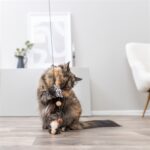 Trixie Kattenhengel Ster Pluche Met Kattenkruid / Catnip - 50 cm