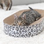 Trixie Krabmat / Mand Leo Karton Met Kattenkruid / Catnip Creme - 63 x 35 x 10 cm