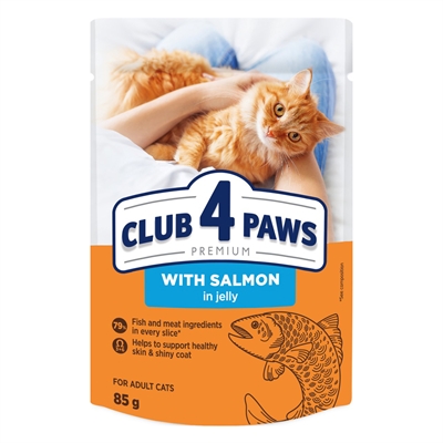 Club 4 Paws Premium Adult Pouch Zalm In Gelei - 24 x 85 g