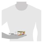 Gourmet Gold Hartig Torentje Zalm - 24 x 85 g