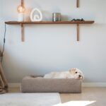Bia Bed Premium Hoes Teddy Beige - 100 x 80 x 15 cm