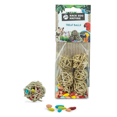 Back Zoo Nature Treat Balls - 4 cm 6 stuks