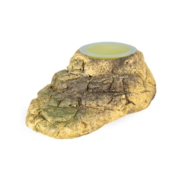 Back Zoo Nature Fruitcup Houder Stone-Look Assorti