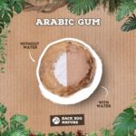 Back Zoo Nature Arabic Gum - 50 g