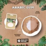 Back Zoo Nature Arabic Gum - 50 g