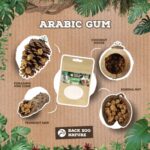 Back Zoo Nature Arabic Gum - 50 g