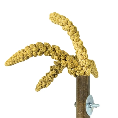 Back Zoo Nature Grass Keeper - 20 x 3 cm