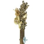 Back Zoo Nature Grass Keeper - 20 x 3 cm