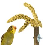 Back Zoo Nature Grass Keeper - 20 x 3 cm