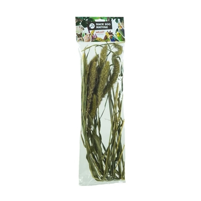 Back Zoo Nature Millet Setaria - 30 g