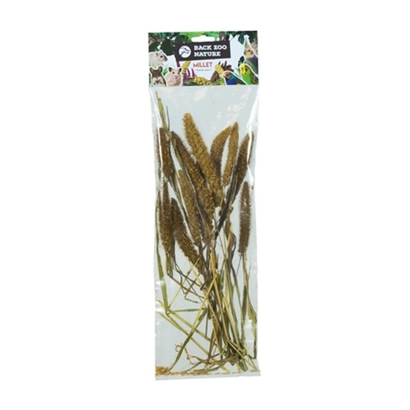 Back Zoo Nature Millet Setaria Italica - 50 g