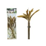 Back Zoo Nature Millet Setaria Italica - 50 g