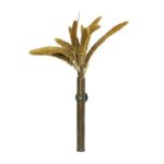 Back Zoo Nature Millet Setaria Italica - 50 g