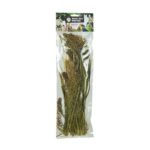 Back Zoo Nature Millet Panicum - 40 g