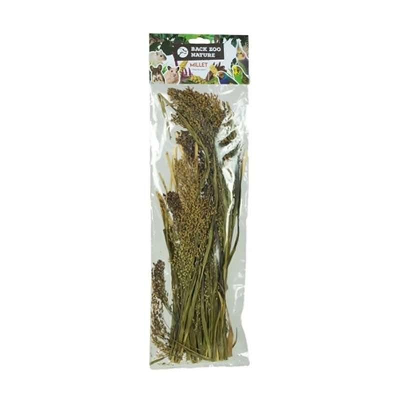 Back Zoo Nature Millet Panicum - 40 g