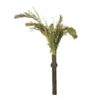 Back Zoo Nature Millet Panicum - 40 g