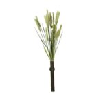 Back Zoo Nature Millet Tarwe - 50 g