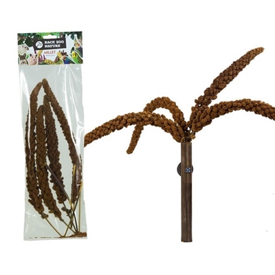 Back Zoo Nature Franse Trosgierst Rood - 150 g