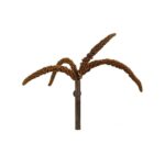 Back Zoo Nature Franse Trosgierst Rood - 150 g