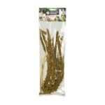 Back Zoo Nature Franse Trosgierst Geel - 150 g