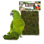 Back Zoo Nature Forest Moss - 70 g