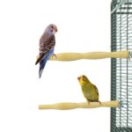 Back Zoo Nature Wood Perch - 25 cm 2 stuks