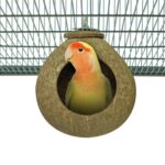 Back Zoo Nature Coconut House - Ca. 9,5 cm