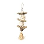 Back Zoo Nature Palm Star Balls - 25 x 8 x 8 cm