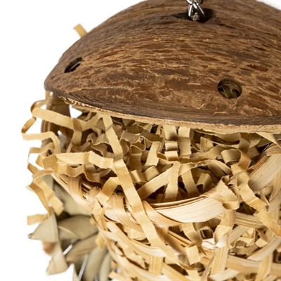Back Zoo Nature Shredding Rocket - Ca. 36 x 10 x 8 cm