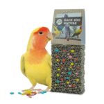 Back Zoo Nature Cardboard Treat Block - 14 x 8 x 4 cm