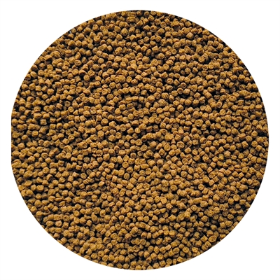 Utopia Goudviskorrel Drijvend - 150 ml