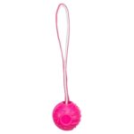 Trixie Werpbal Soft & Strong Tpr Roze - 27 x 6 x 6 cm