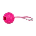 Trixie Werpbal Soft & Strong Tpr Roze - 29 x 7,5 x 7,5 cm