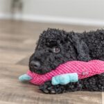 Trixie Zeepaard Stof Roze / Aqua - 28 x 15,5 x 7,5 cm